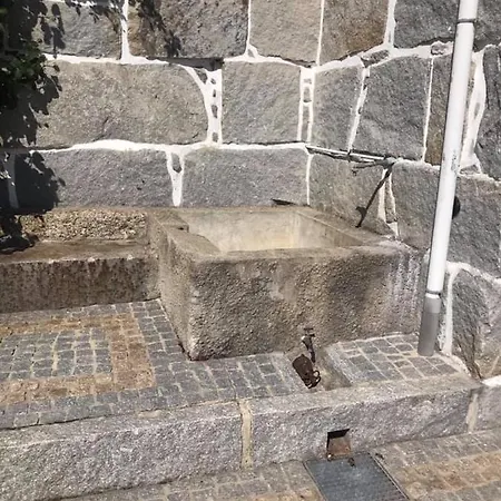 Casa Do Abeto * Carvalhosa