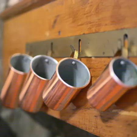 Casa Do Abeto Carvalhosa