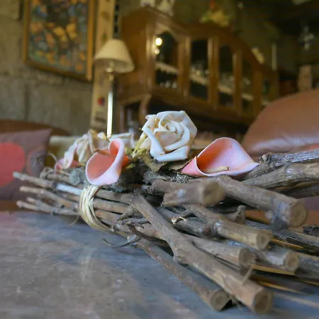 펜션 Casa Do Abeto Carvalhosa