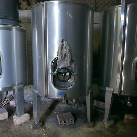 펜션 Casa Do Abeto