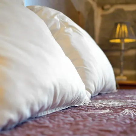 Casa Do Abeto Carvalhosa